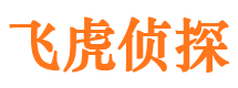 安岳市婚外情调查